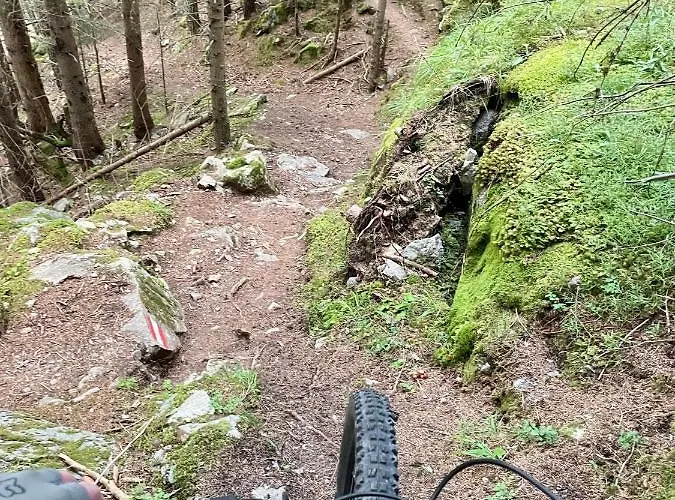 Haus Riverside * Zaunhof